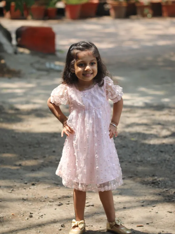 Embroidered Tulle Frock